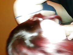 Zanas louisburg čiulpti Gaidys